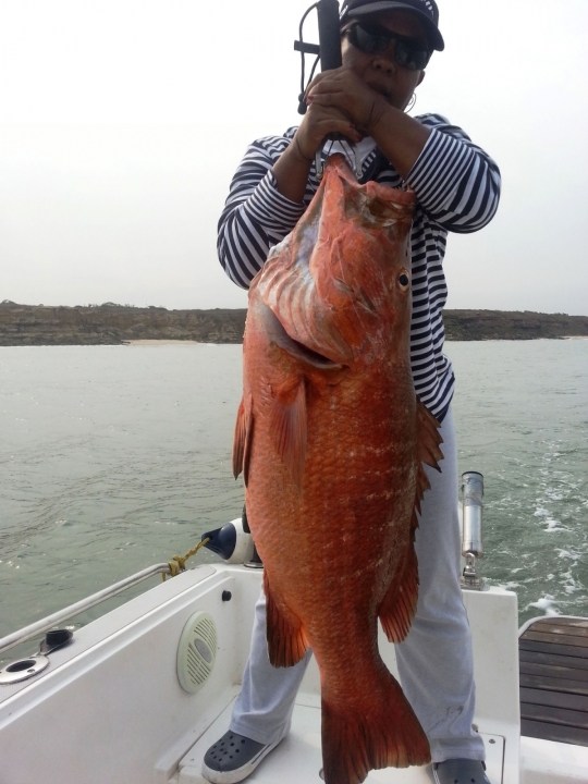 Donde Pescar :: Noticias del mes IGFA nuevos records