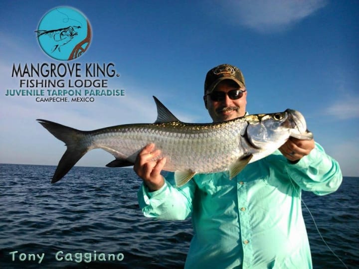 Mangrove King Fishing Lodge, Campeche, Tienes que vivirlo!!!