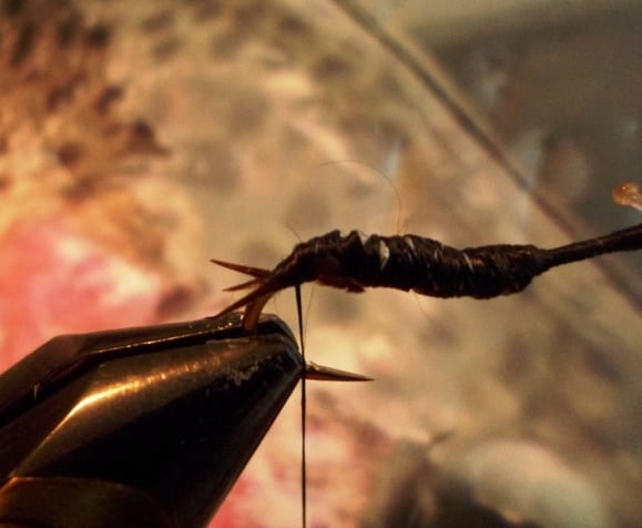 Atando Dragonfly y Stonefly con MFC