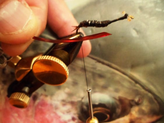 Atando Dragonfly y Stonefly con MFC