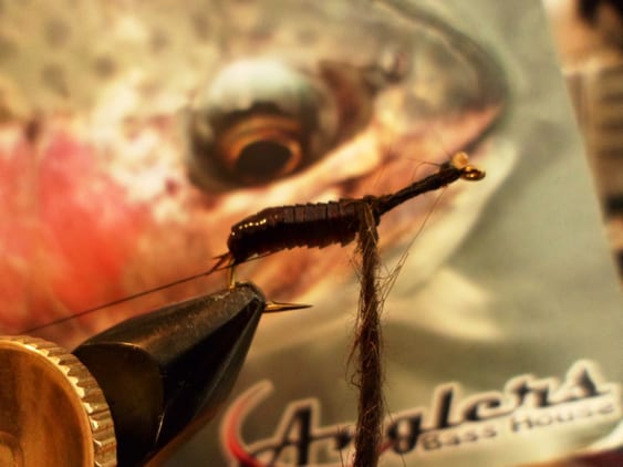 Atando Dragonfly y Stonefly con MFC