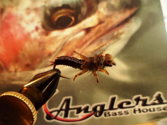 Atando Dragonfly y Stonefly con MFC