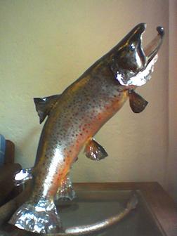 Servicio Profesional de Taxidermia