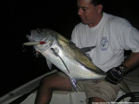 Pesca nocturna de Jureles con Popper