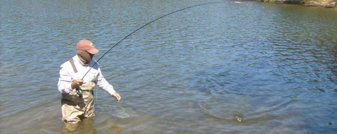 ¡Buff bienvenido a la pesca!