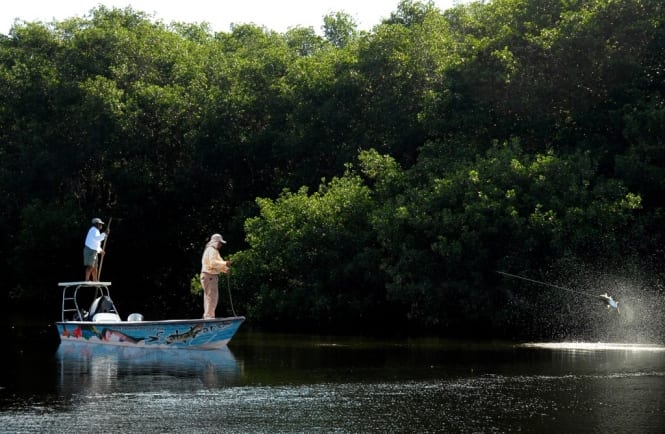 SABALEANDO !la experiencia extrema de la pesca en Campeche!