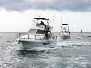 Ganan Franceses Torneo Internacional de Pesca de la Aguja