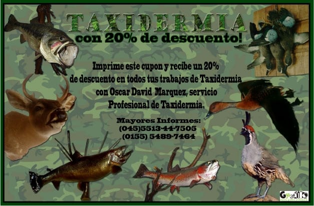 Cupón de descuento 20% en TAXIDERMIA al imprimirlo y presentarlo.