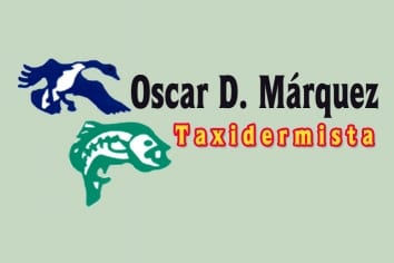 Cupón de descuento 20% en TAXIDERMIA al imprimirlo y presentarlo.