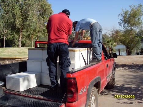 PATRONATO BOSQUE Y ZOOLOGICO DE LA CIUDAD DE MEXICALI