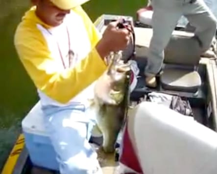 (Video) Lobina de 8 1/2 lbs. En el El Salto, Sinaloa