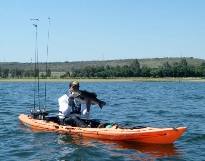Lobinonononón desde Kayak!!!!