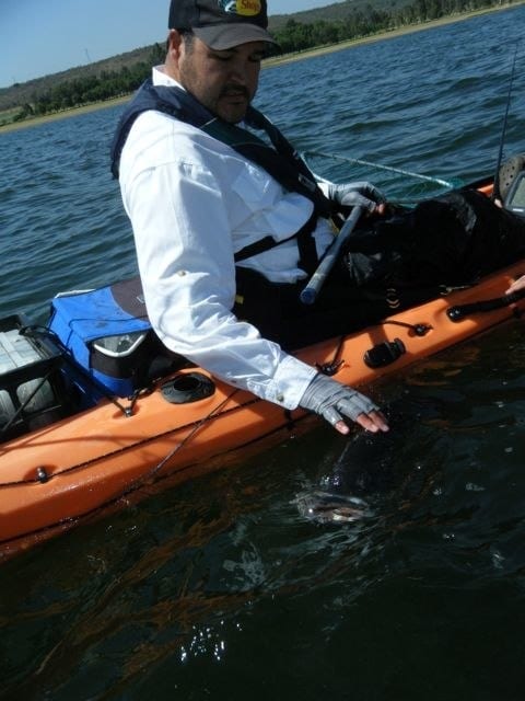Lobinonononón desde Kayak!!!!
