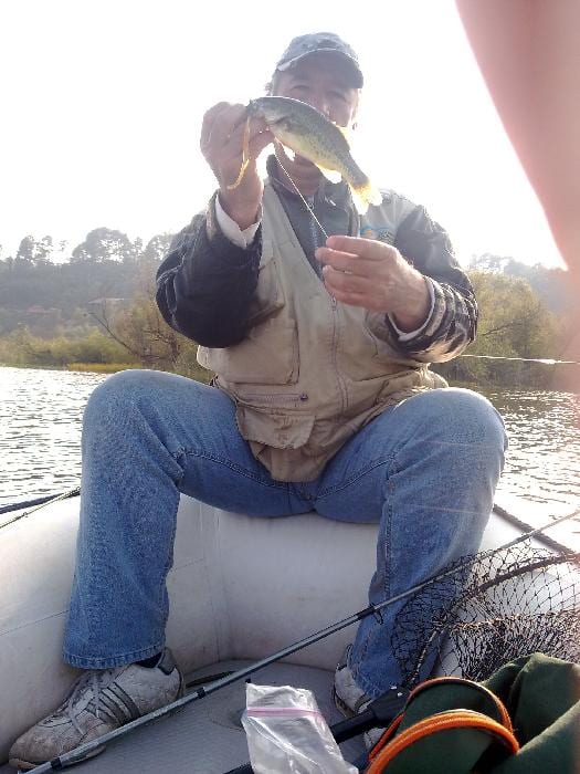 Relato de pesca 11:Las golonas de Zirahuén